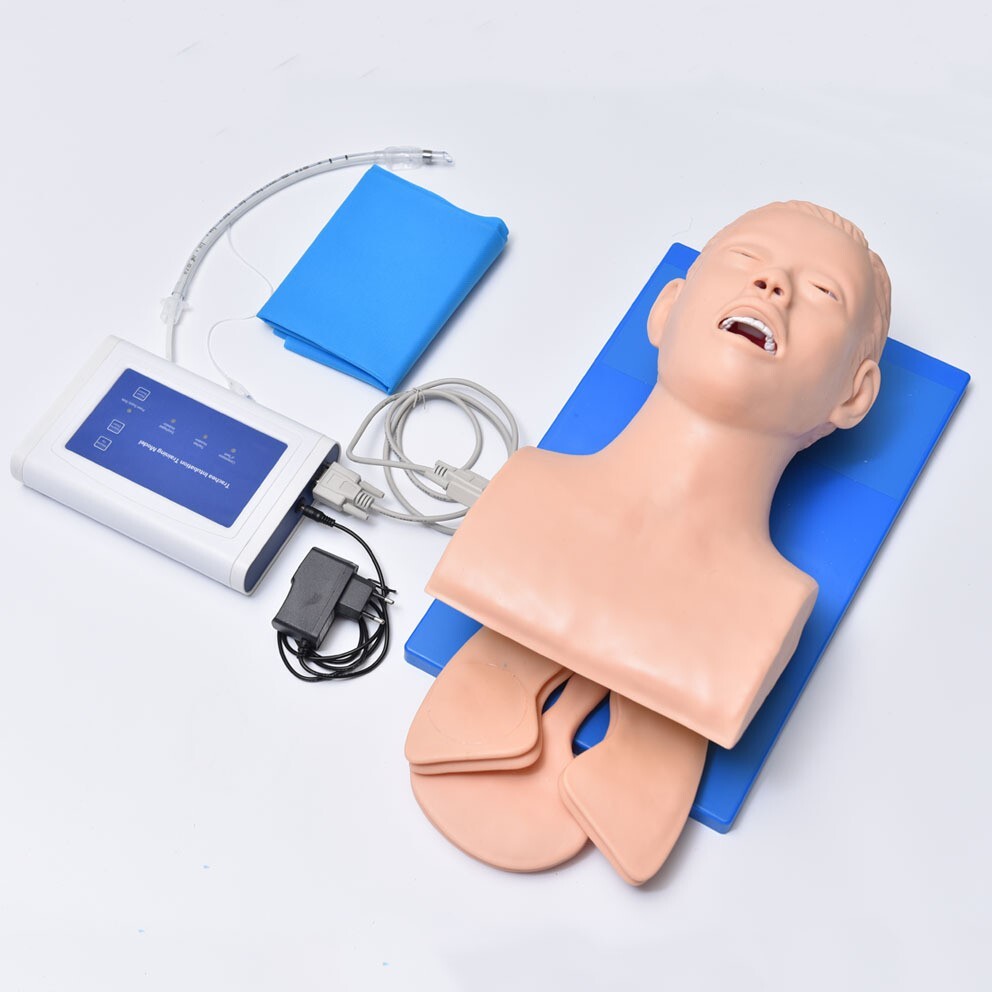 Used Tracheal Intubation Training Teaching Model with Indicator 110V-220V