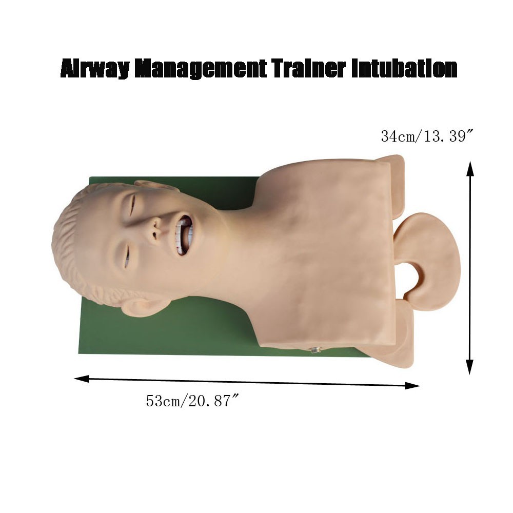 Electronic Model for Endotracheal Intubation Training and Teaching 110V-220V