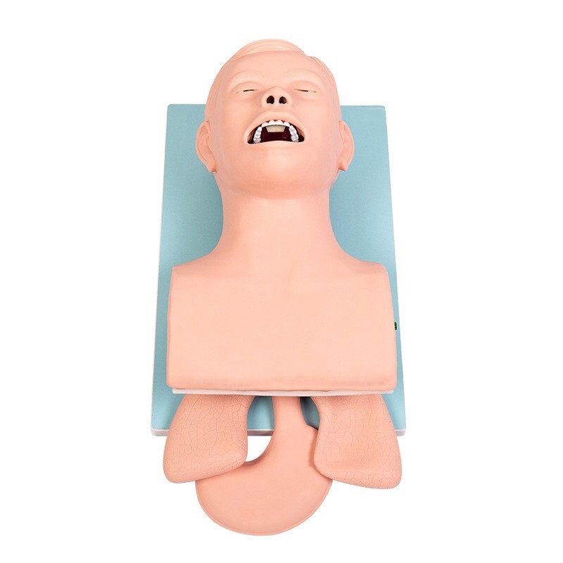 Used Tracheal Intubation Training Teaching Model with Indicator 110V-220V