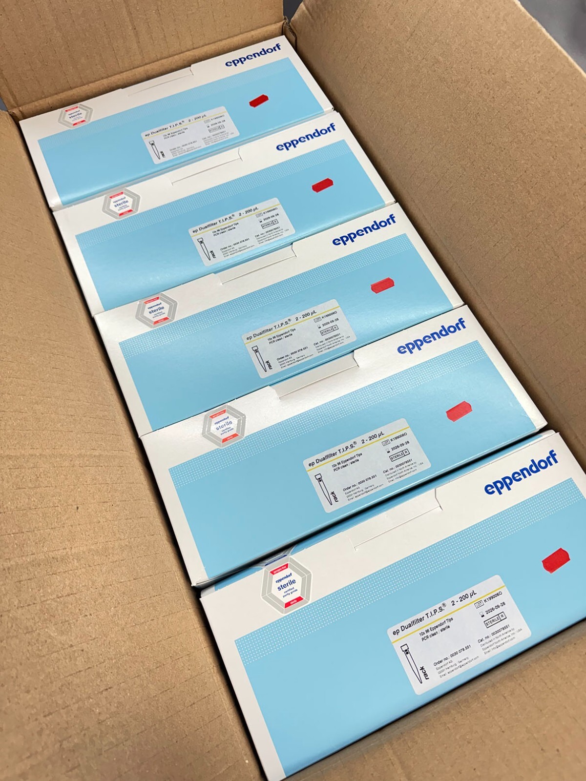 Eppendorf EP Dualfilter 2-200uL Pipette Tips T.I.P.S. In Racks #0030078551 CASE