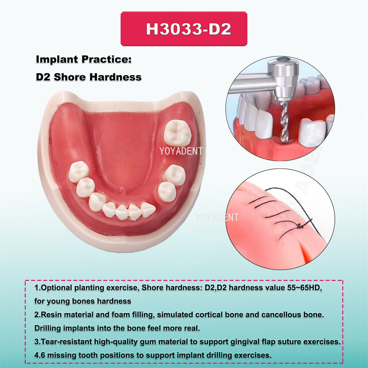 US Dental teeth Model Preparation Training Teaching Ortho Implant Typodont Demo