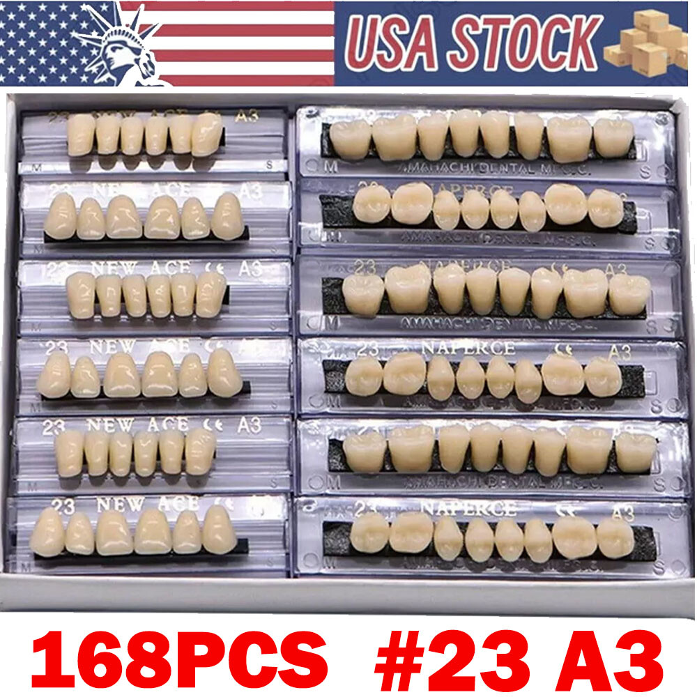 168Pcs Dental Acrylic Resin Denture A3#23 Shade Full Upper Lower False Teeth USA