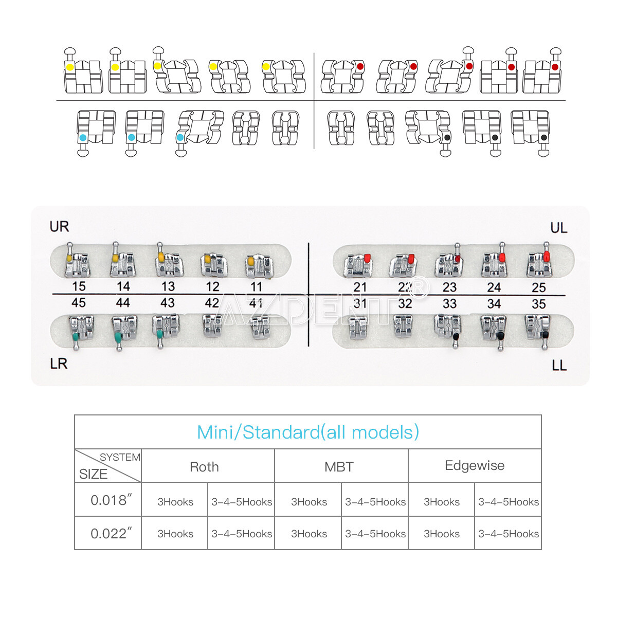 1000pcs Dental Orthodontic Elastic Ligature Ties/Ortho Brackets Brace AZDENT