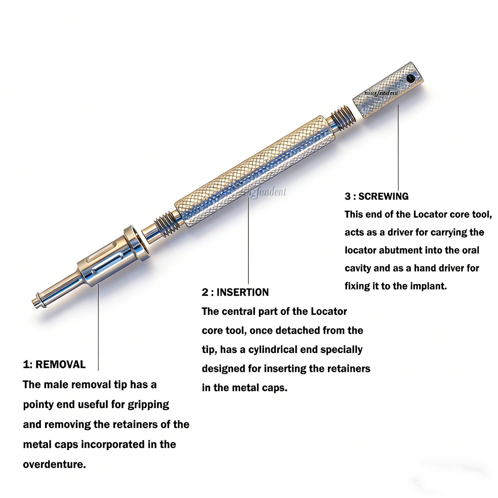Dental Locator Core Tool Insertion Extraction Removal Male Caps Driver Zest fits