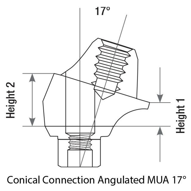 10x Prosthetic Angulated 17° Multi-Unit 1.6 NP Conical Connection 2.25 Titanium