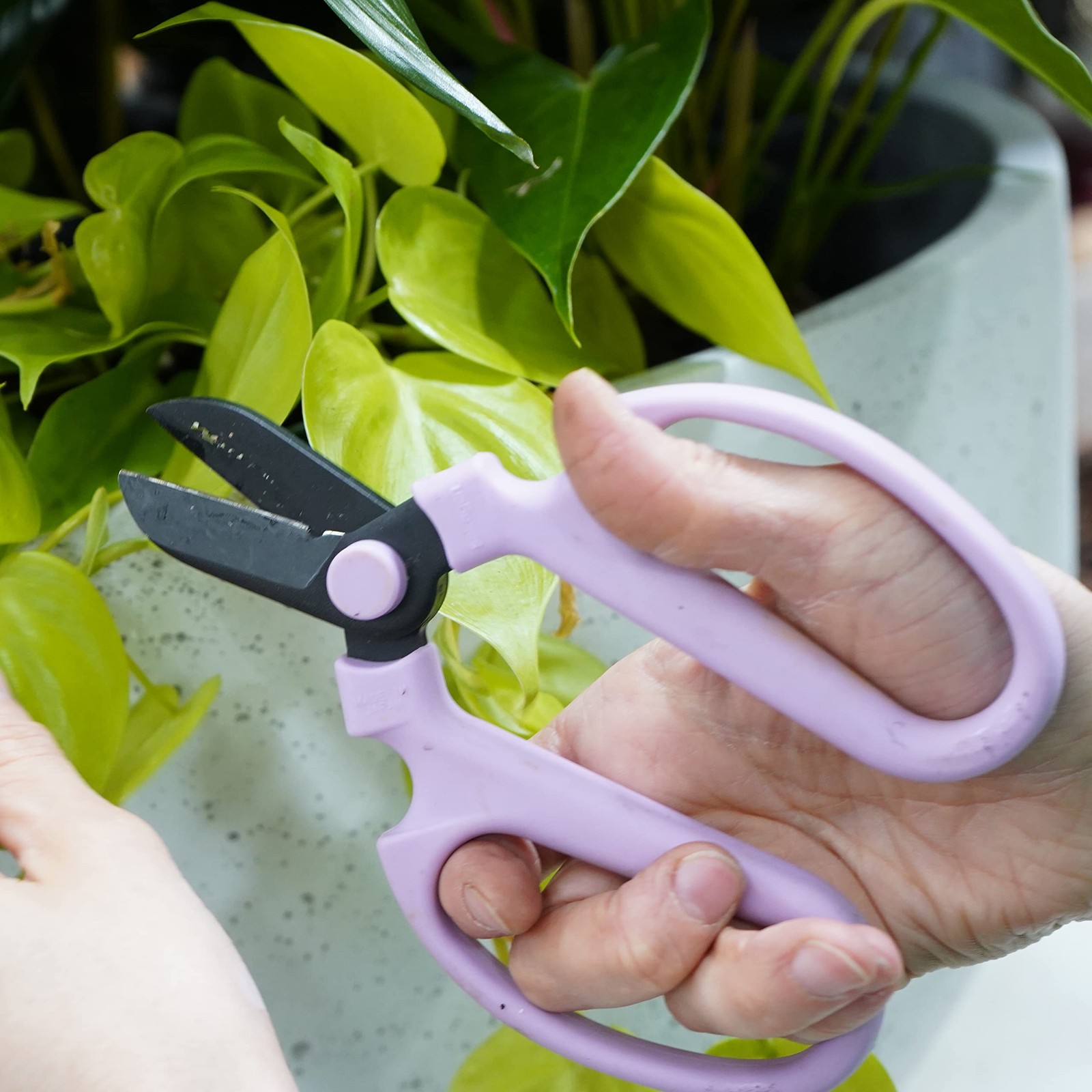 Meraki Floral Tools Flower Scissors Set Of 3 Carbon Steel Blades 3 Sizes In