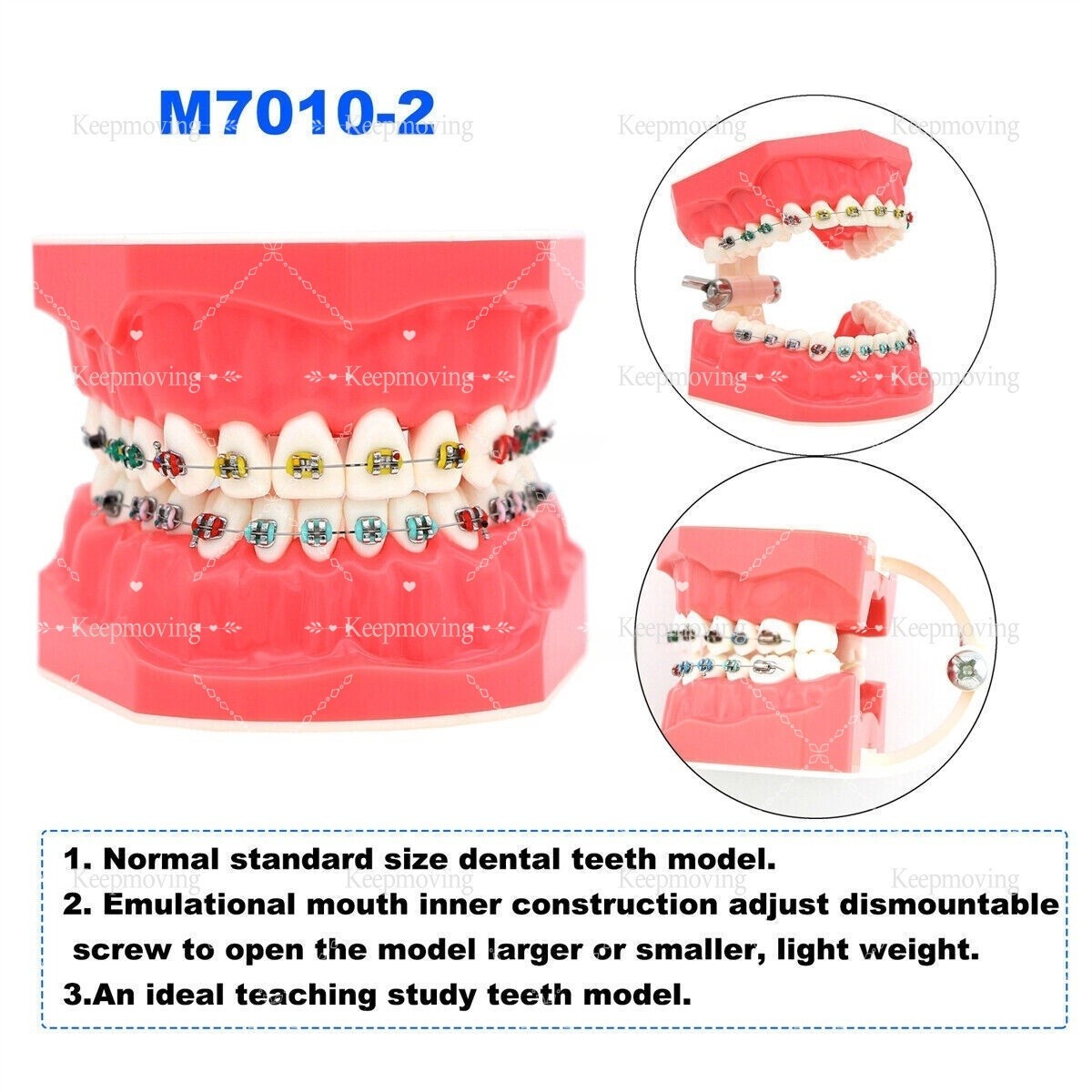 Dental Teeth Model Typodont Demonstration with Braces For Patient Study M7010-2