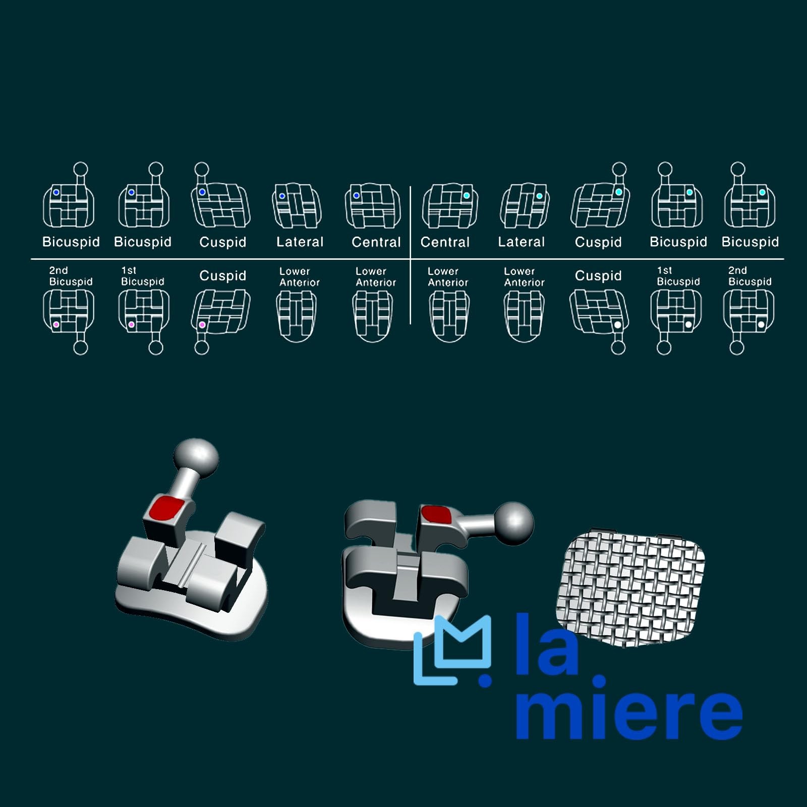 LA MIERE 200PCS Teeth Model Braces, Typodont Brackets, 0.022 MINI MBT