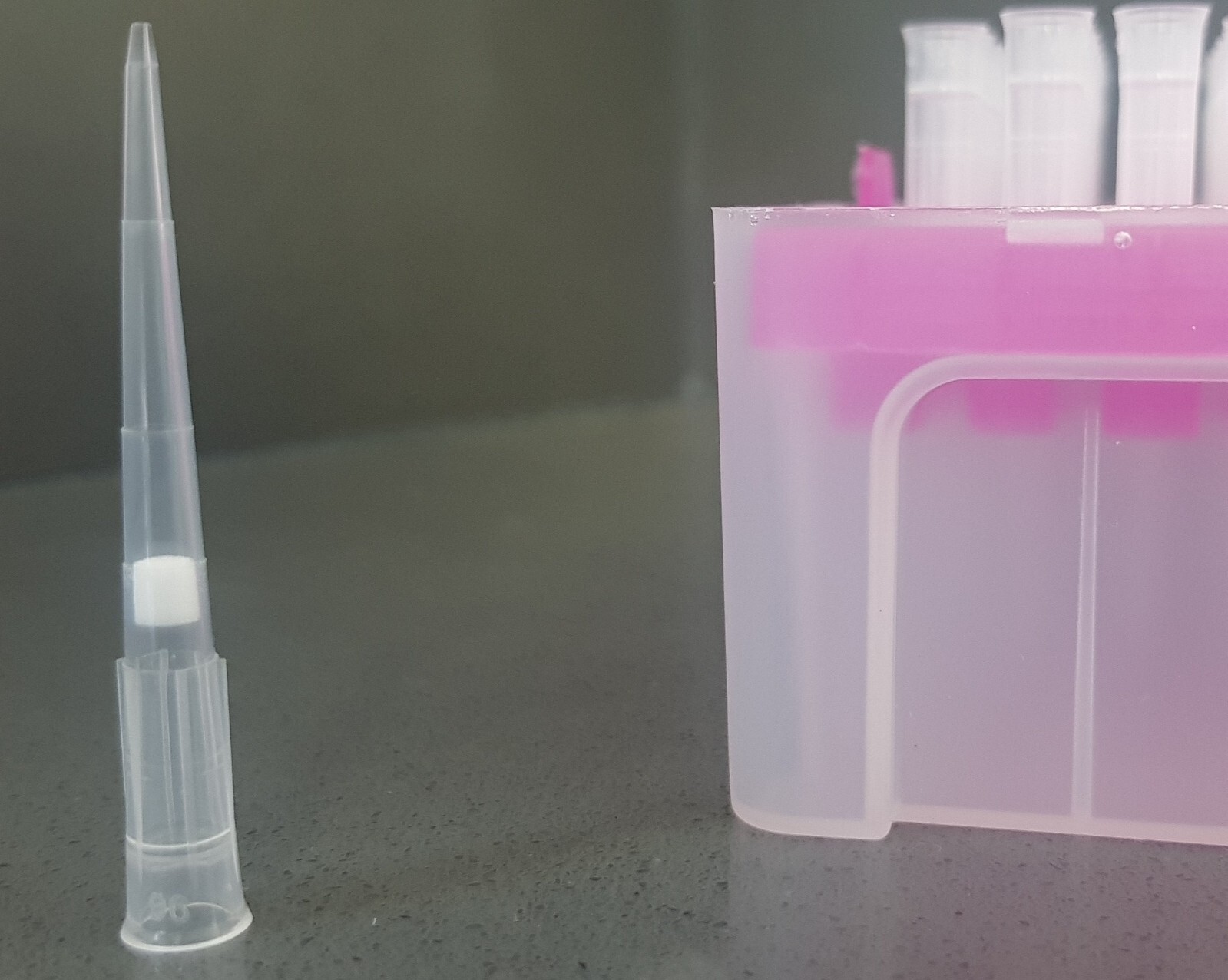 Pipette tips filtered 50ul (Sterile, 50 racks, 4800 tips)