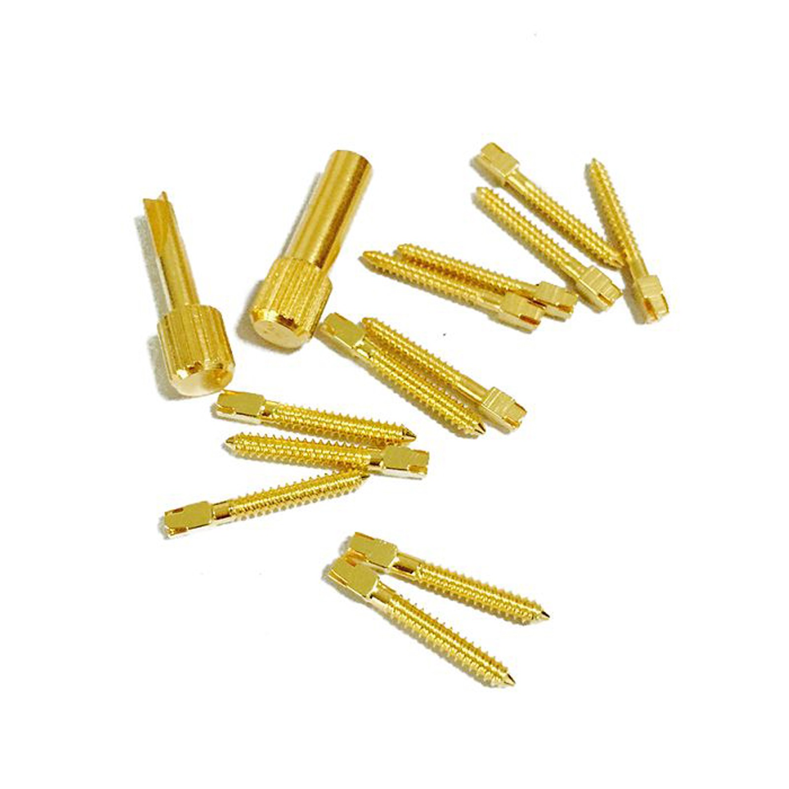 Dental Endodontic Screw Posts Kit SST/24K Gold Plated/Pure Titanium Nordin Type