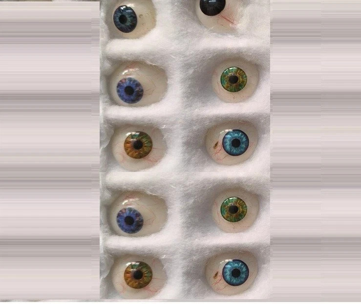 Dr Bawa Human Prosthetic Artificial Eye Collection 10 Pcs