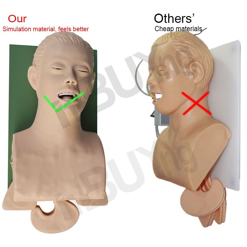 Used Tracheal Intubation Training Teaching Model with Indicator 110V-220V