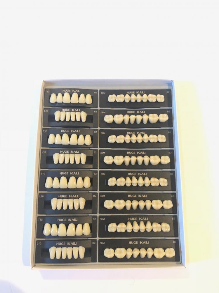 Huge KAILI Synthetic Polymer False Teeth T10/L10/36M Full set:28 teeth x4 sets