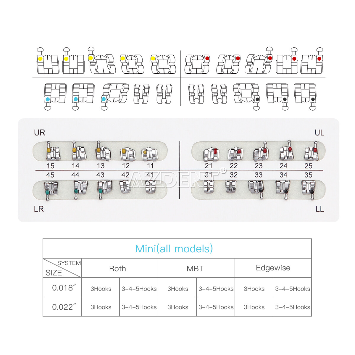 AZDENT Dental Orthodontic Brackets Braces Mini Roth.022 /Light Cure Adhesive Kit
