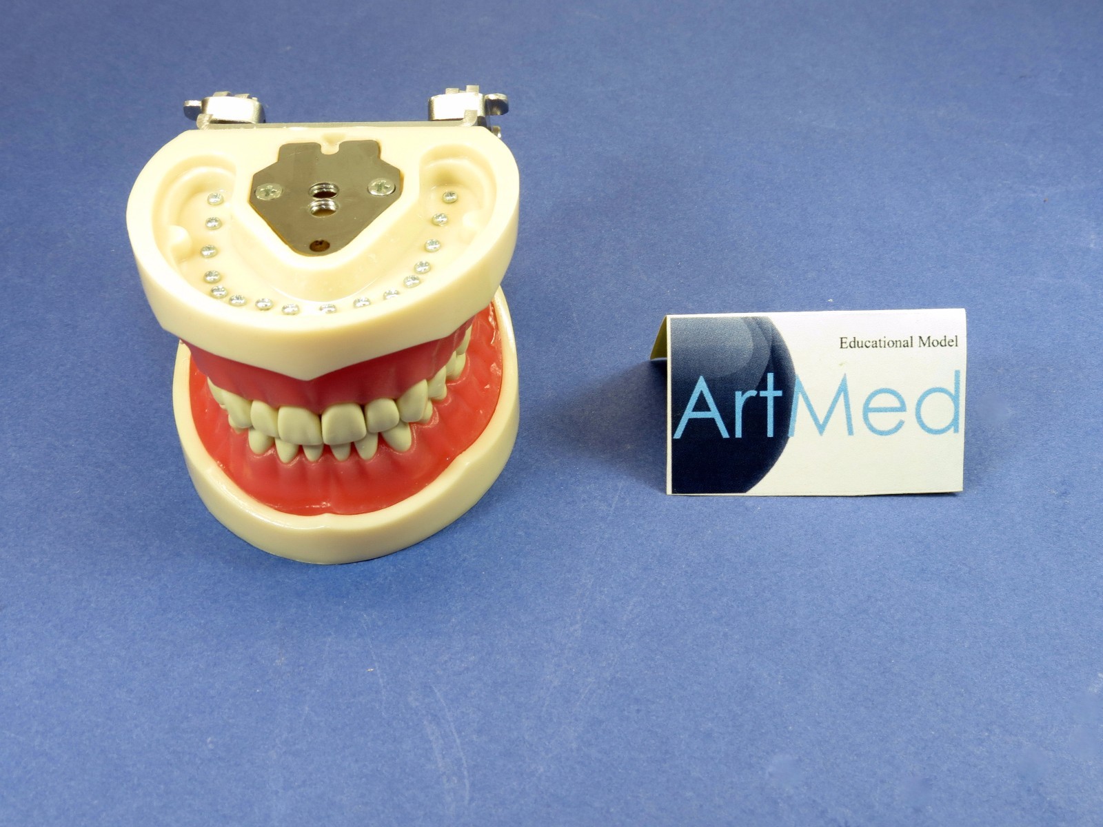 Typodont Dental Type Kilgore Nissin OM-200 With Metal Articulator (Not Plastic)
