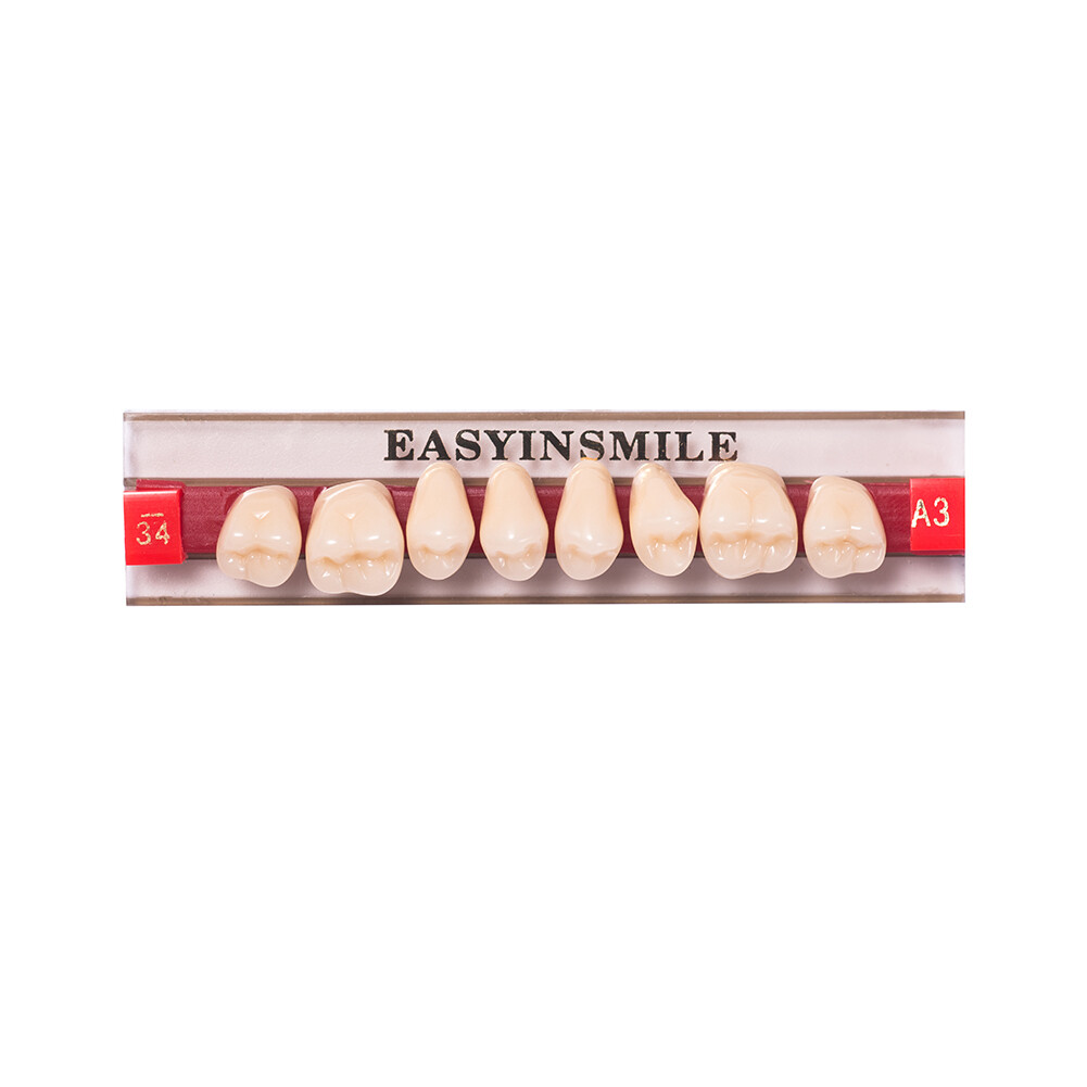 Dental Acrylic Resin Denture Teeth DIY False Teeth Anterior Posterior Upper A3