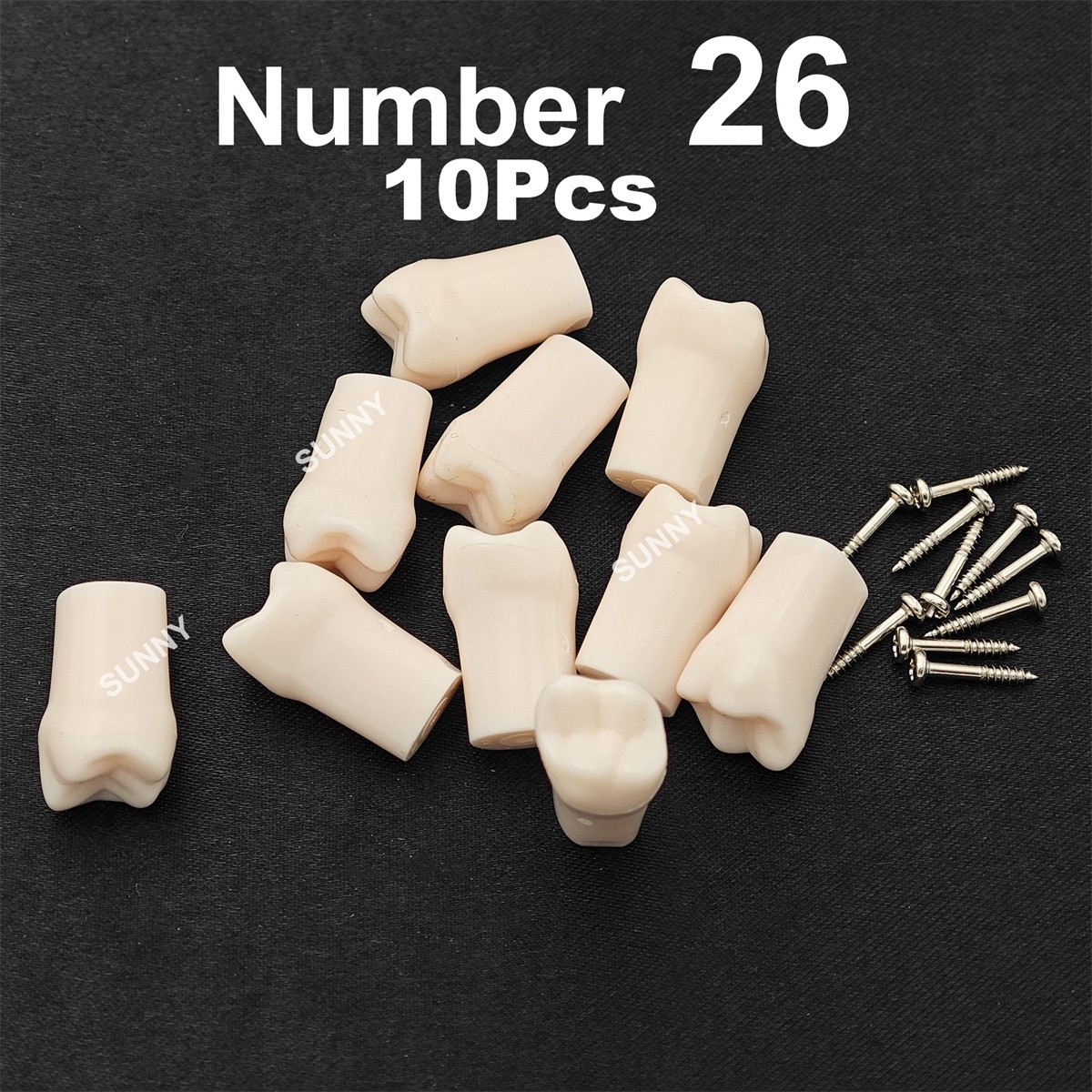Dental Typodont Replacement Screw-in Teeth Model fit Kilgore NISSIN 200/500 Type