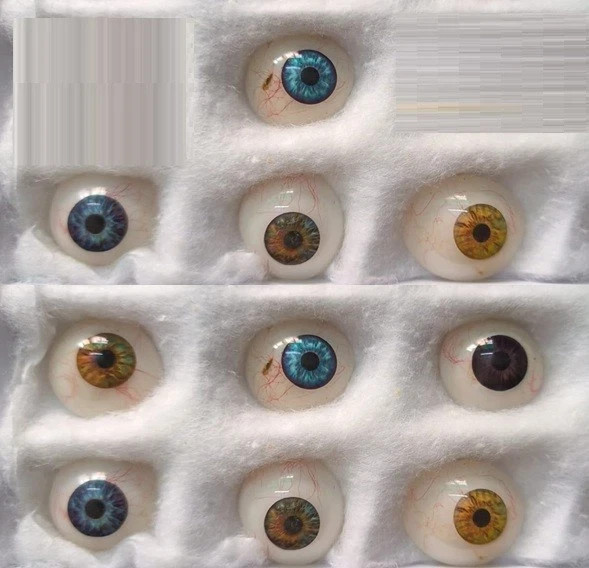 Dr Bawa Human Prosthetic Artificial Eye Collection 10 Pcs