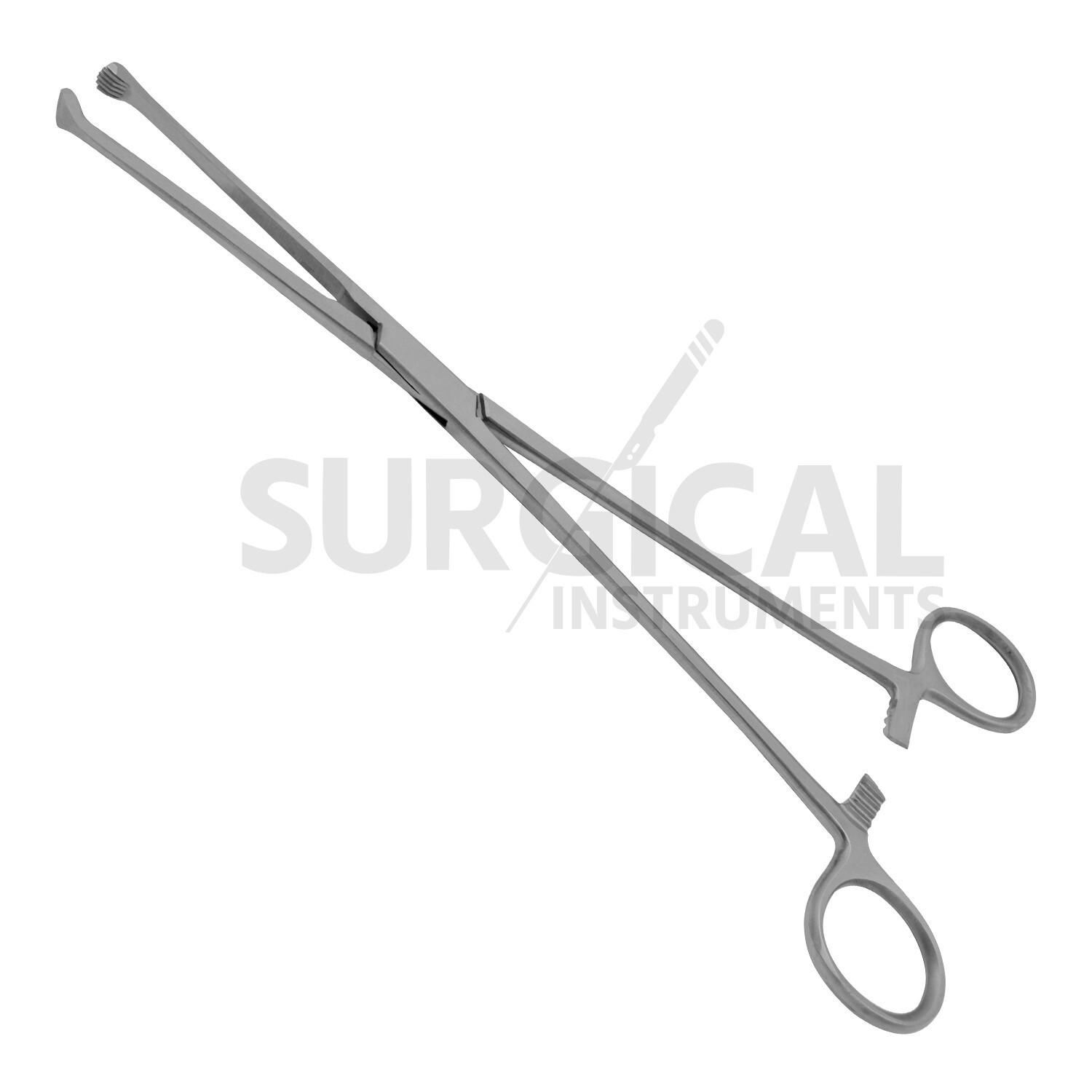2 Pcs Allis Tissue Forceps 10″ 5 X 6 Teeth Surgical Instruments German Grade