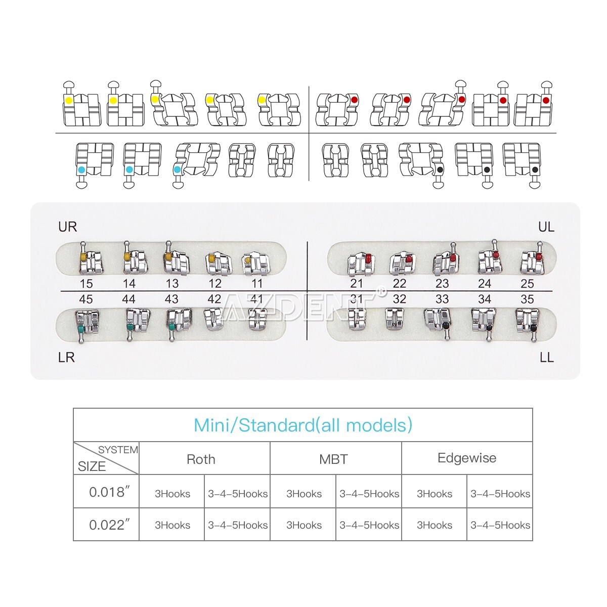 AZDENT Dental Orthodontic Metal Brackets Braces /Super Elastic Niti Arch Wires