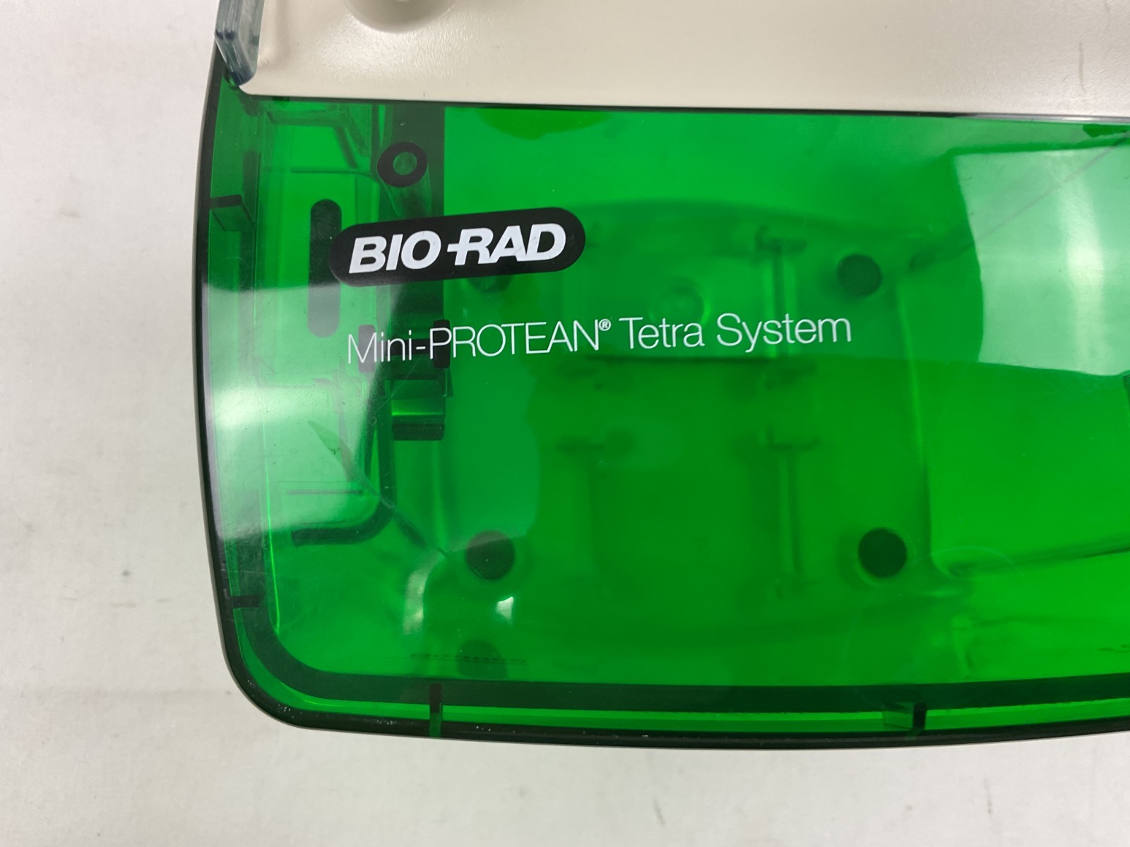 Bio-Rad Mini-PROTEAN Tetra Cell Electrophoresis System w/ Mini Trans-Blot