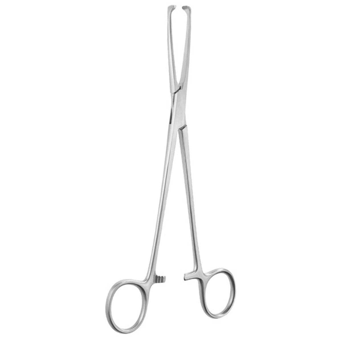 Set of 6 Allis Intestinal Tissue Forceps, 7.5″, Straight, 5 x 6 Teeth, Premium