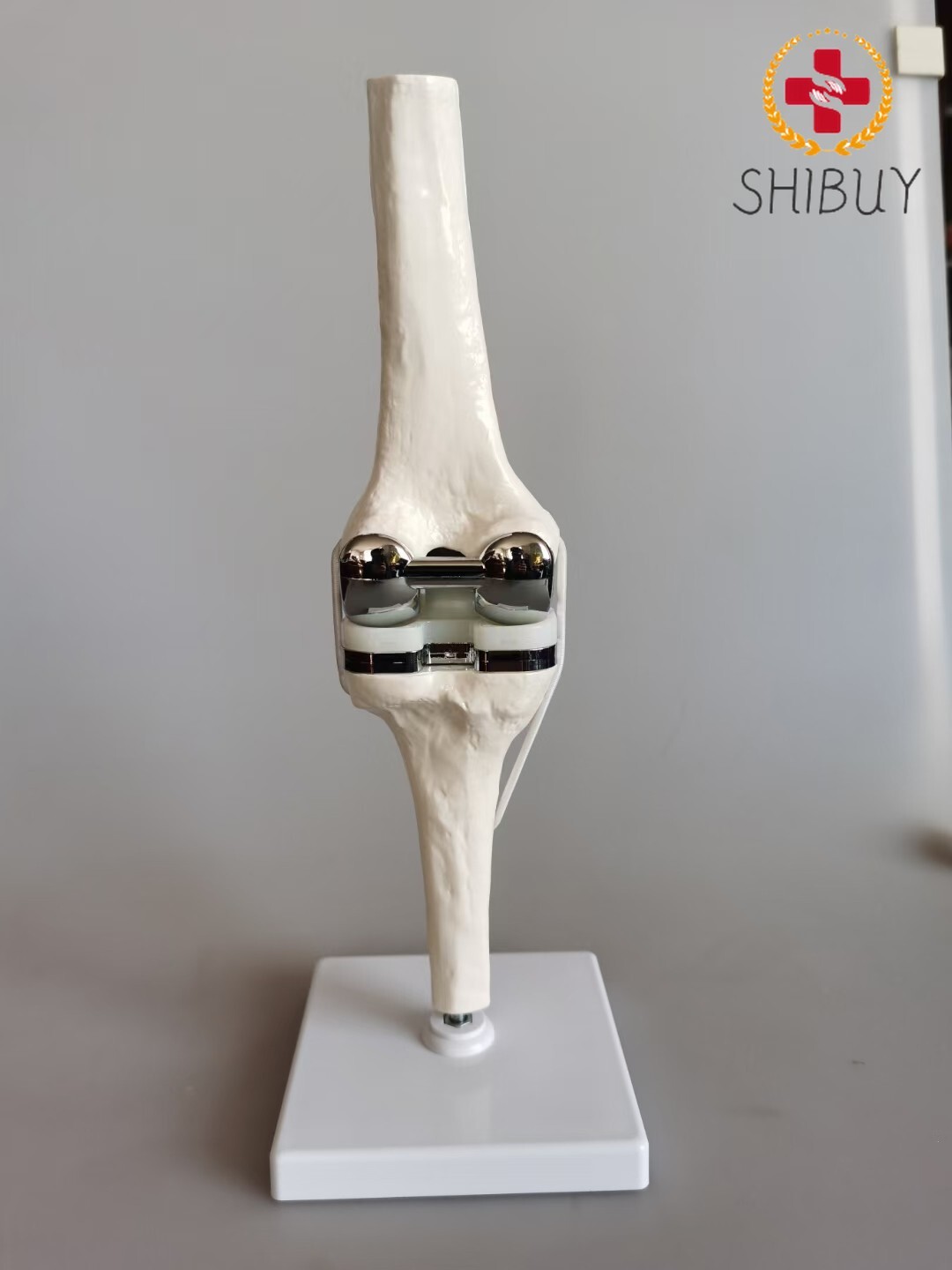 1:1 Artificial Knee Joint Medical Anatomical Skeleton Demo Display Model