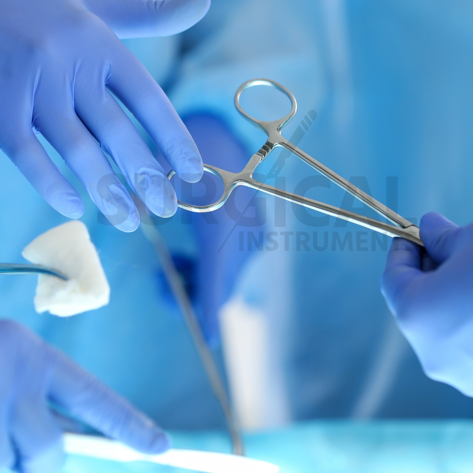 2 Pcs Set 8″ Straight + Curved Hemostat Forceps Locking Clamps German Grade