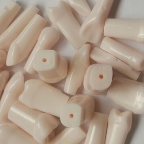 Dental Practice Typodont Teeth Model Removable Teeth 28 pcs Kilgore Nissin