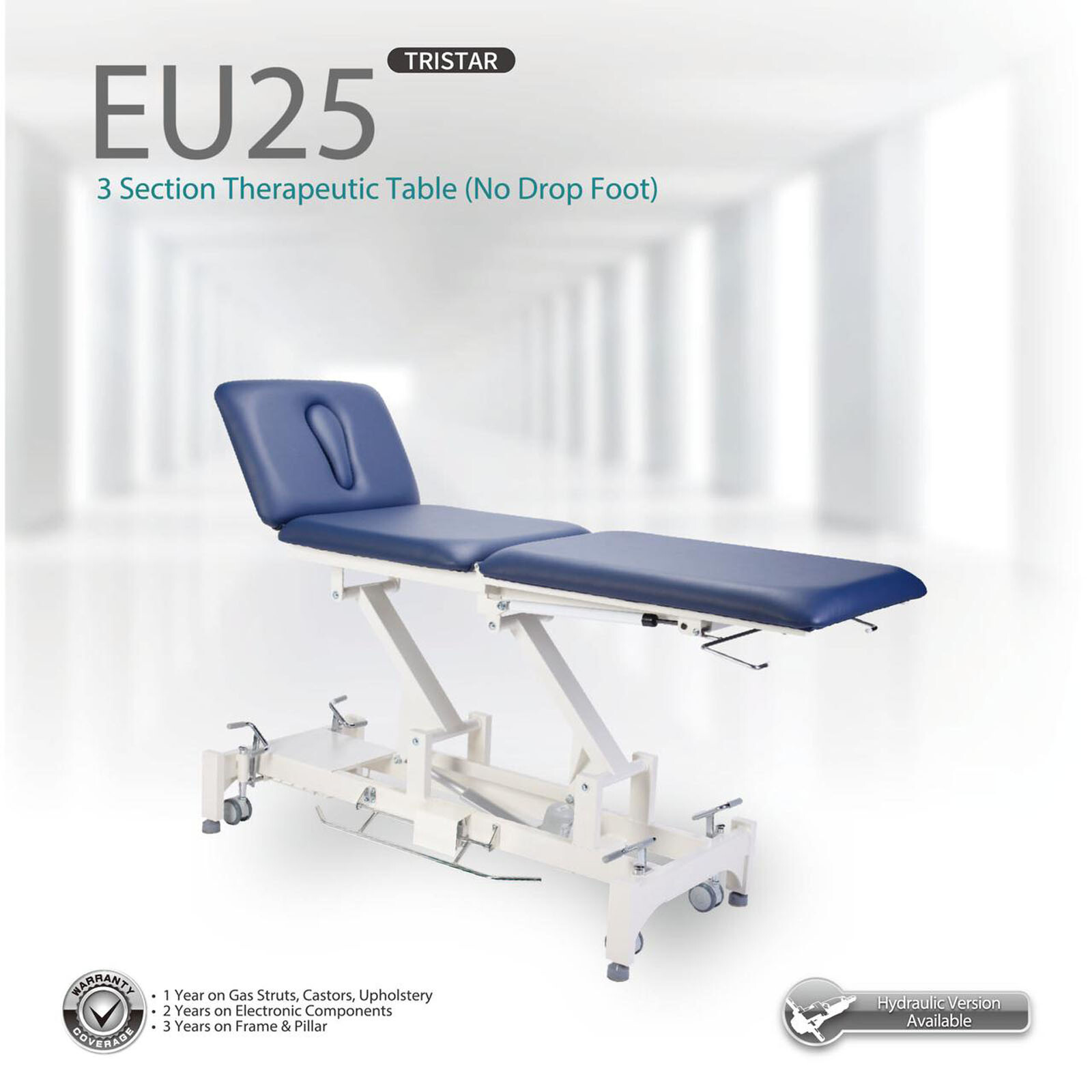 Everyway4all Taiwan EU25 Blue Tristar 3 Section Therapeutic Exam Treatment Table