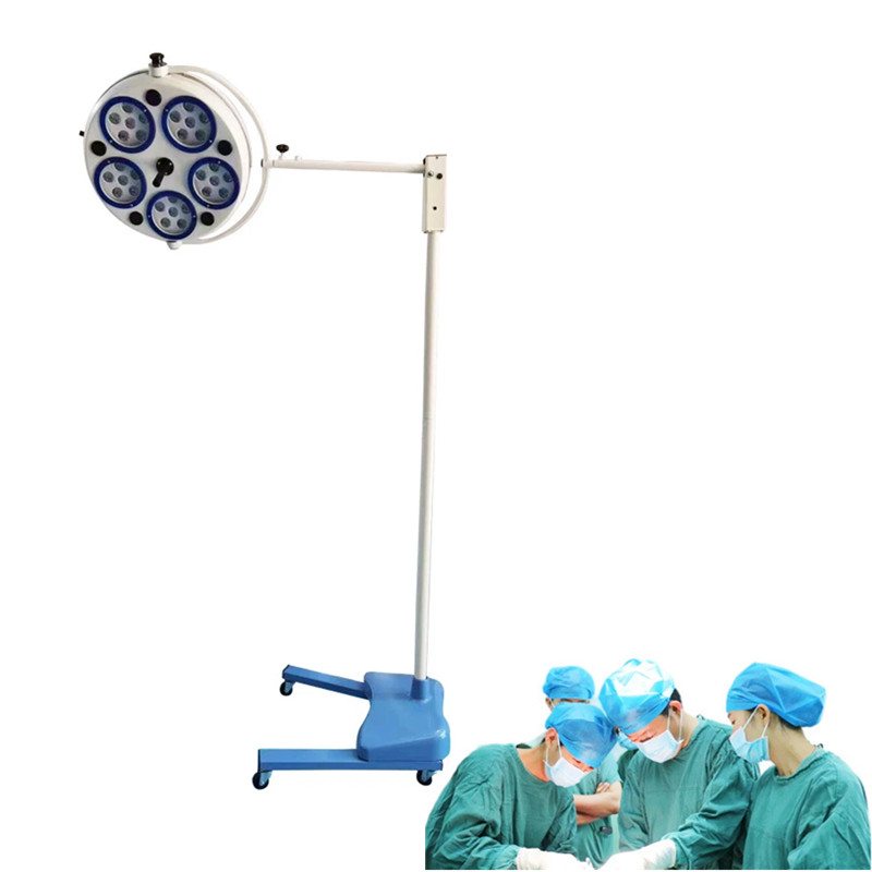 Oral Lighting 30w LED Surgical Medical Exam Light Shadowless Lamp Pet Hospital