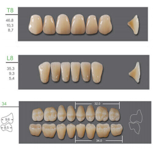 Huge Kaili Synthetic Polymer False Teeth Shade C1 Full Set: 28 teeth/set 4 sets