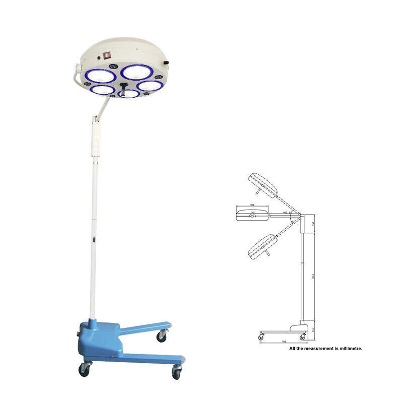 Oral Lighting 30w LED Surgical Medical Exam Light Shadowless Lamp Pet Hospital