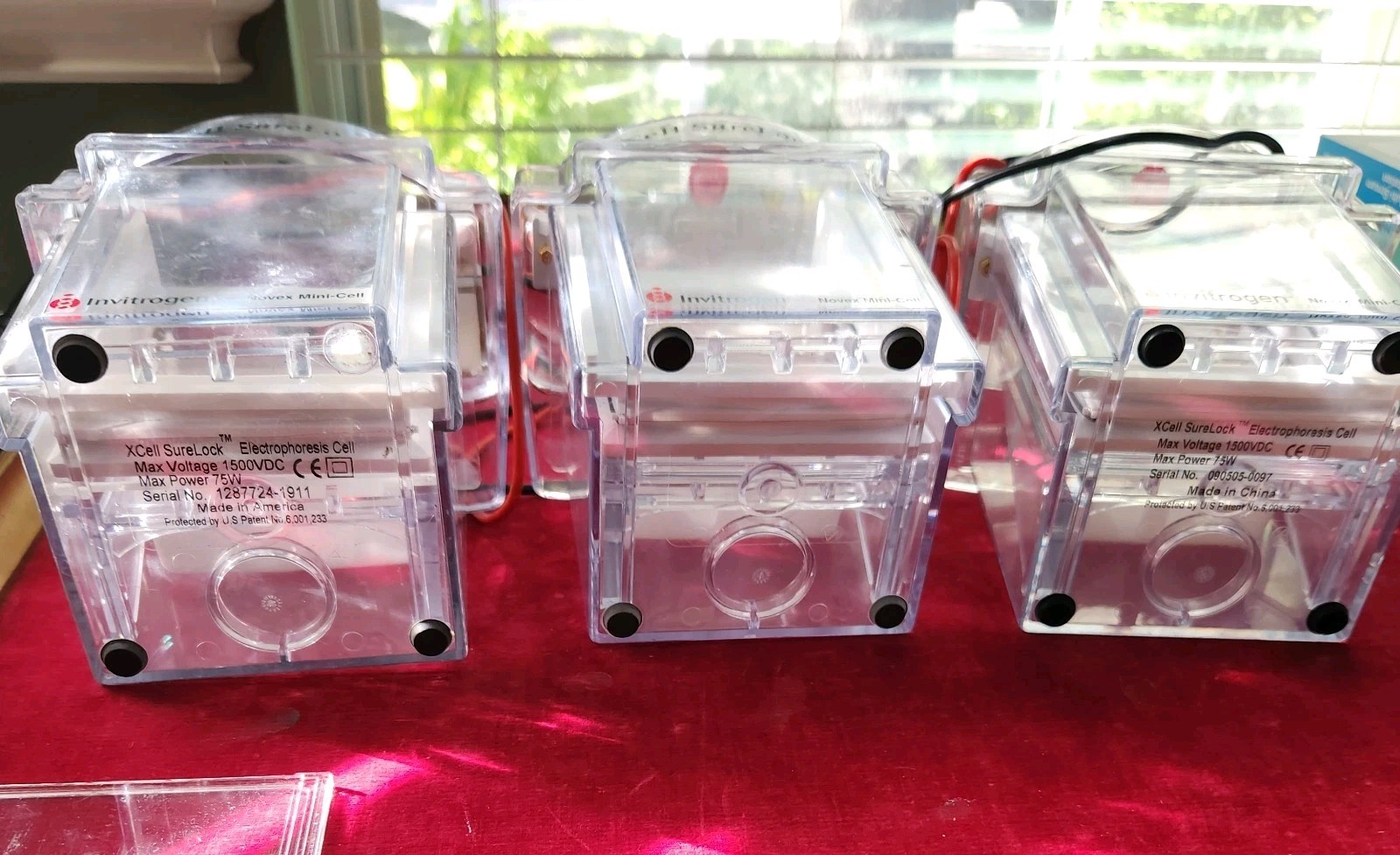 Invitrogen XCell SureLock Mini Cell Electrophoresis System Novex