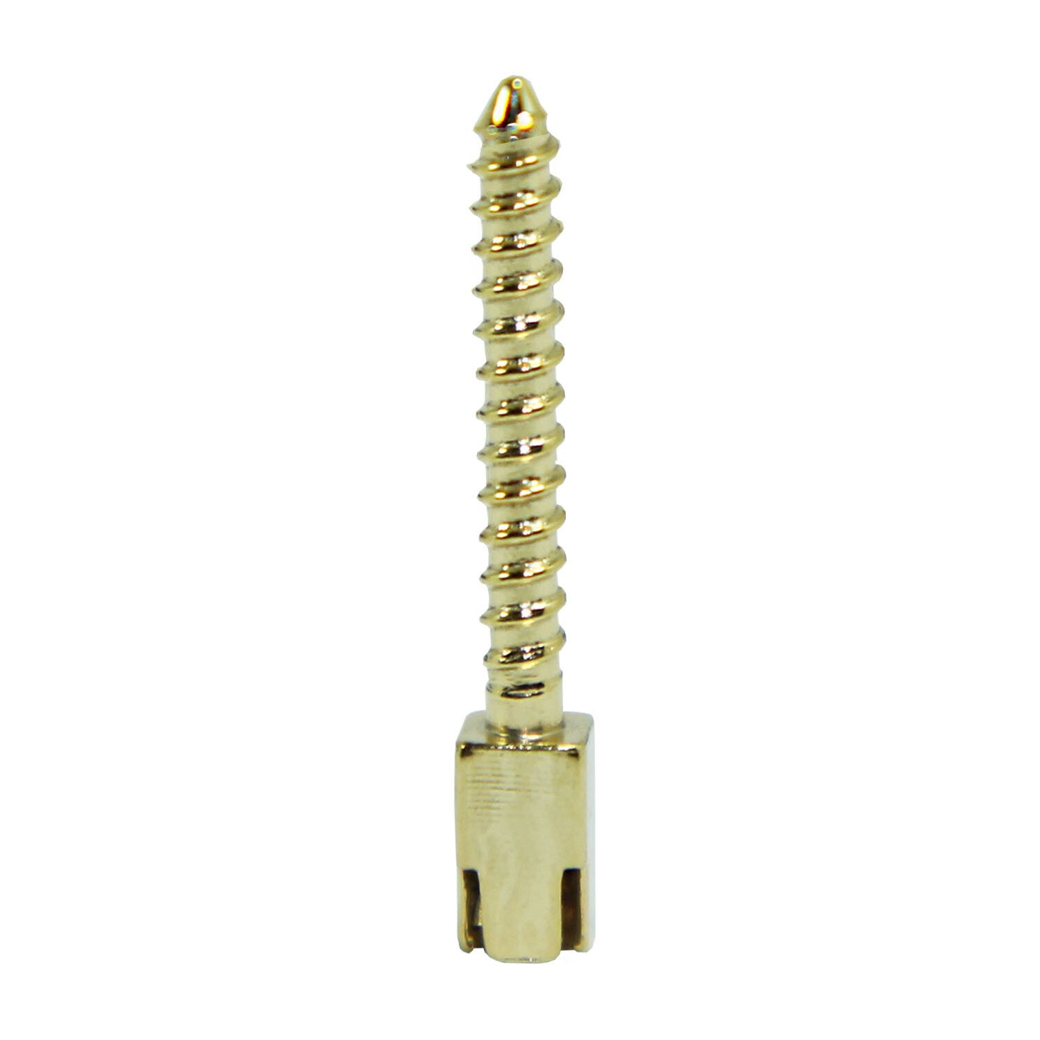 Dental Nordin Gold Plated Endodontic Root Canal Screw Post 12pcs