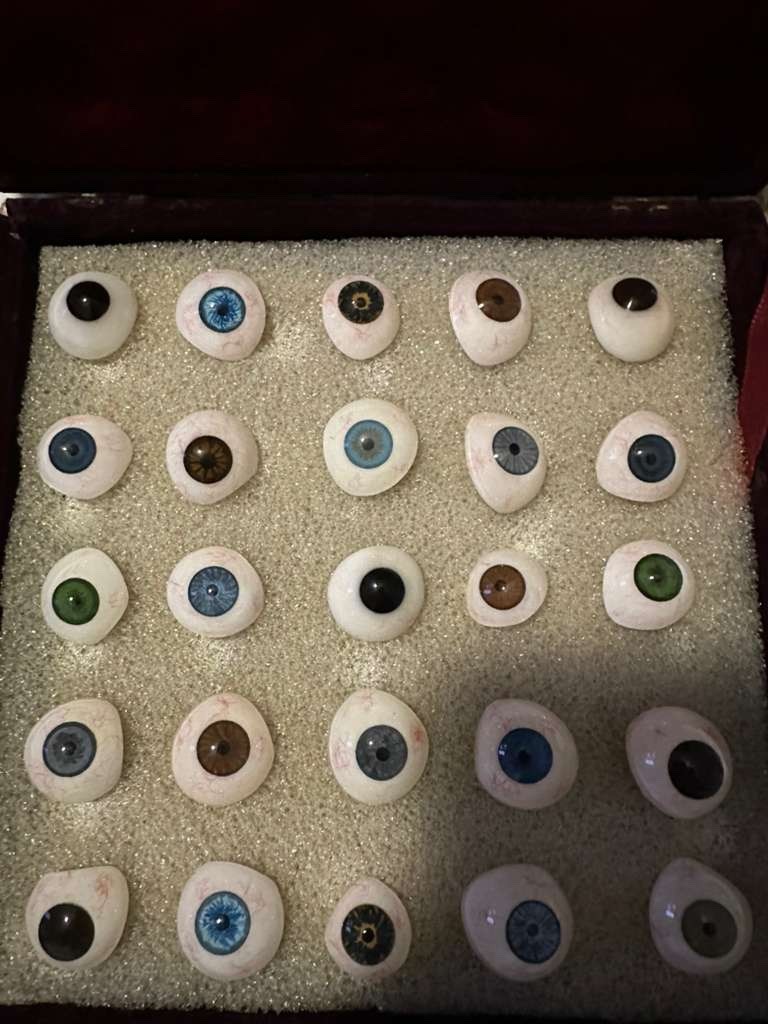 Prosthetic Eye For Human 25 Eyes ALL MIX SHADE In Soft Case Liberty Prosthesis