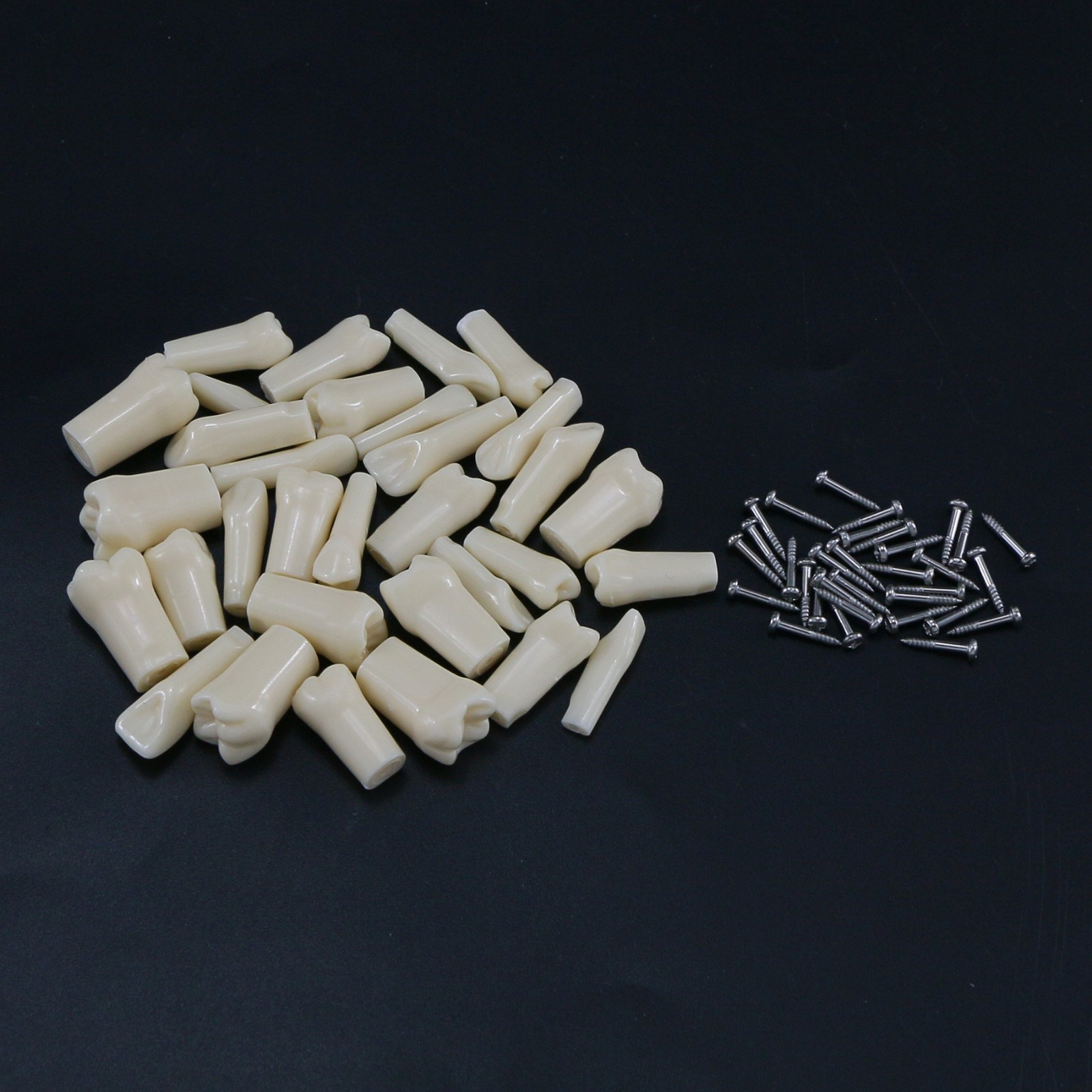 Kilgore Nissin 200 Type Dental Mounting Pole Typodont Model 32pc Removable Teeth