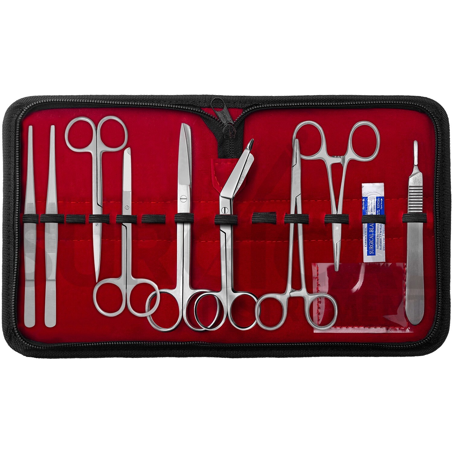 10 Pcs Student Minor Surgery Kit Set Surgical Instruments Stainless German Grade