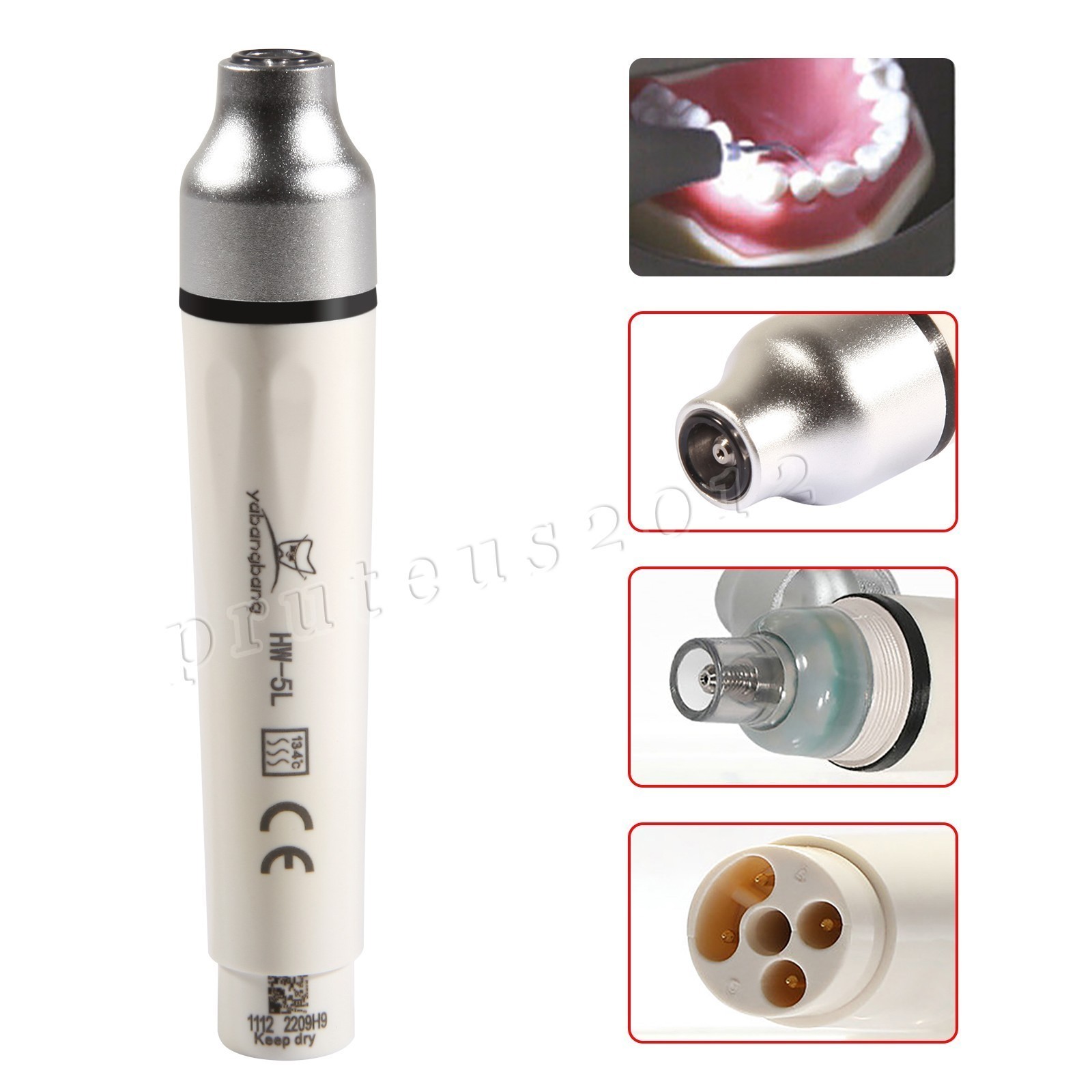 USA Dental LED Scaler Handpiece HW-5L fit EMS Scaling Tips G1 G2 P1