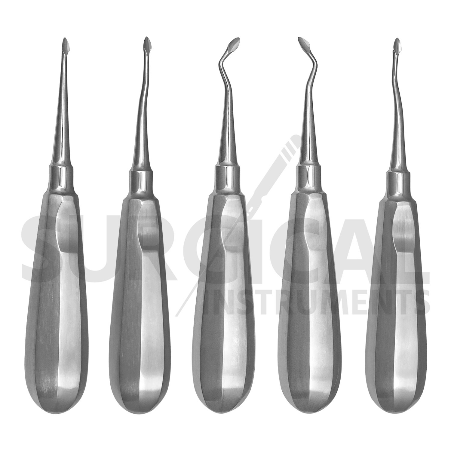 5 Pcs SPADE Concave Elevators Dental Surgical Instruments Stainless German Grade