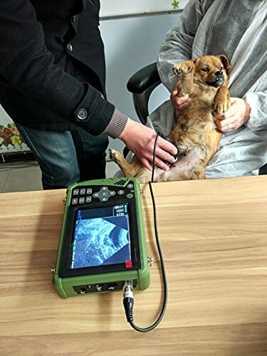 Dawei Portable Pet Ultrasound Handheld Veterinary Machine For Goat Cattle Horse