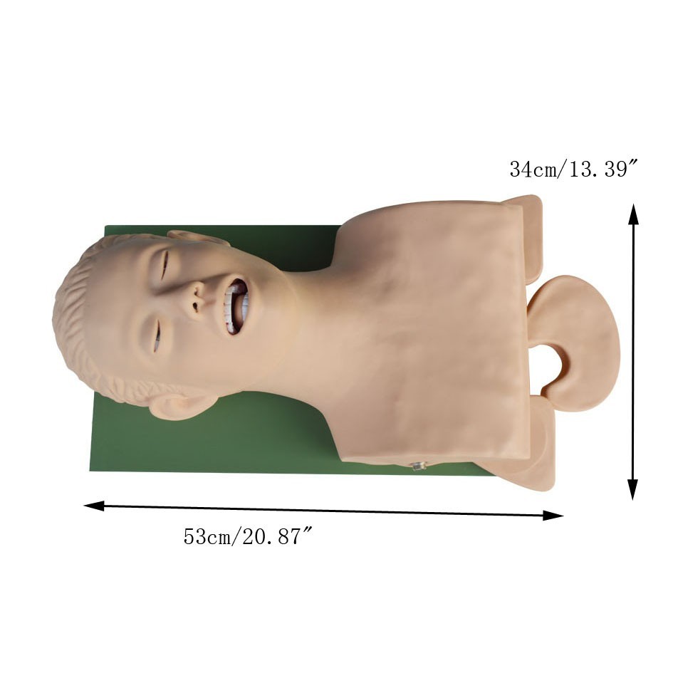 Electronic Model for Endotracheal Intubation Training and Teaching 110V-220V