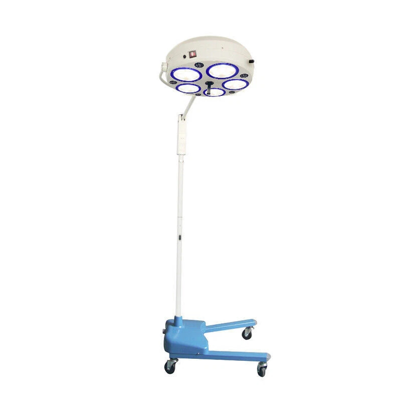 Oral Lighting 30w LED Surgical Medical Exam Light Shadowless Lamp Pet Hospital