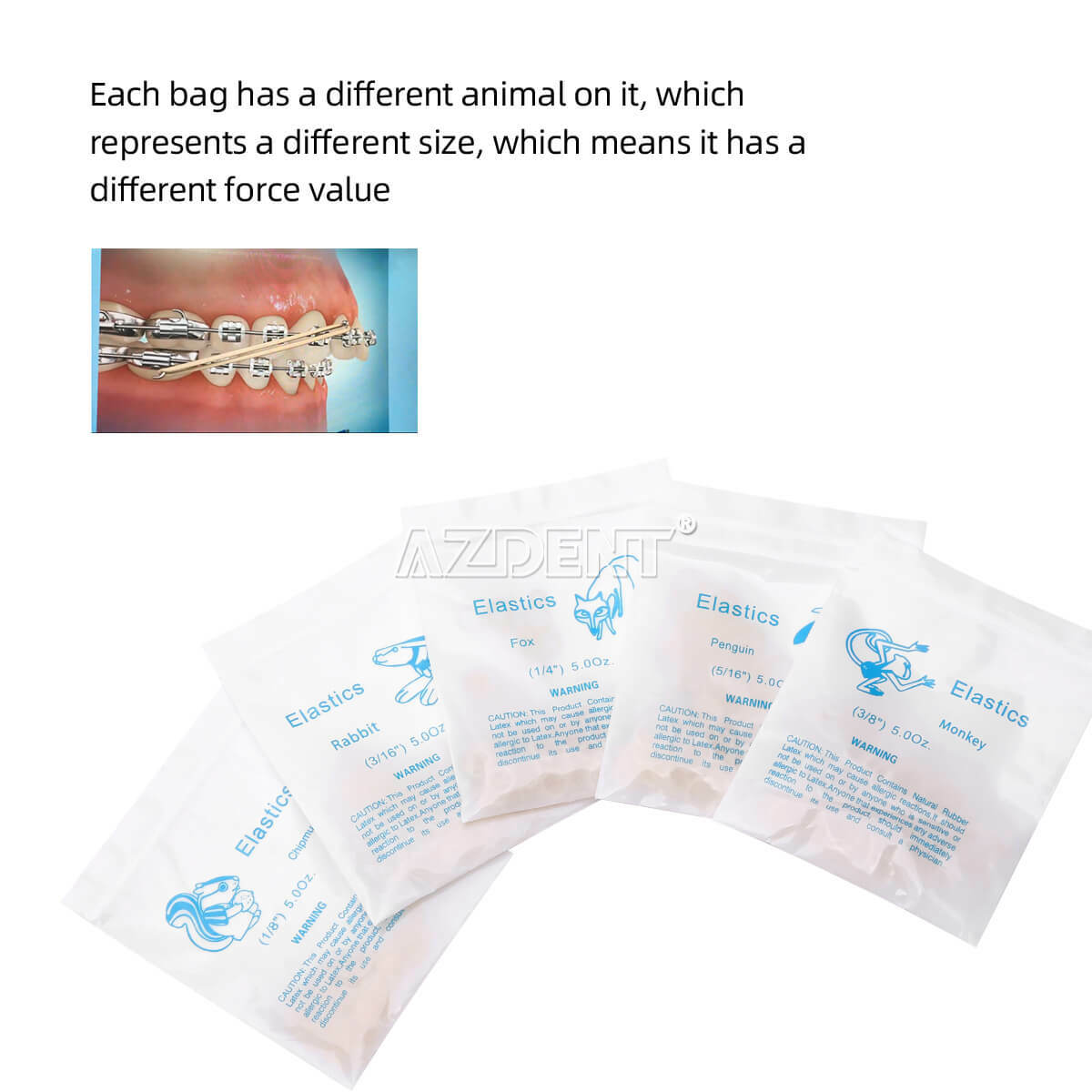 AZDENT Bandas Elásticas Ortodoncia Látex Elásticos Dental Elastics Rubber Bands