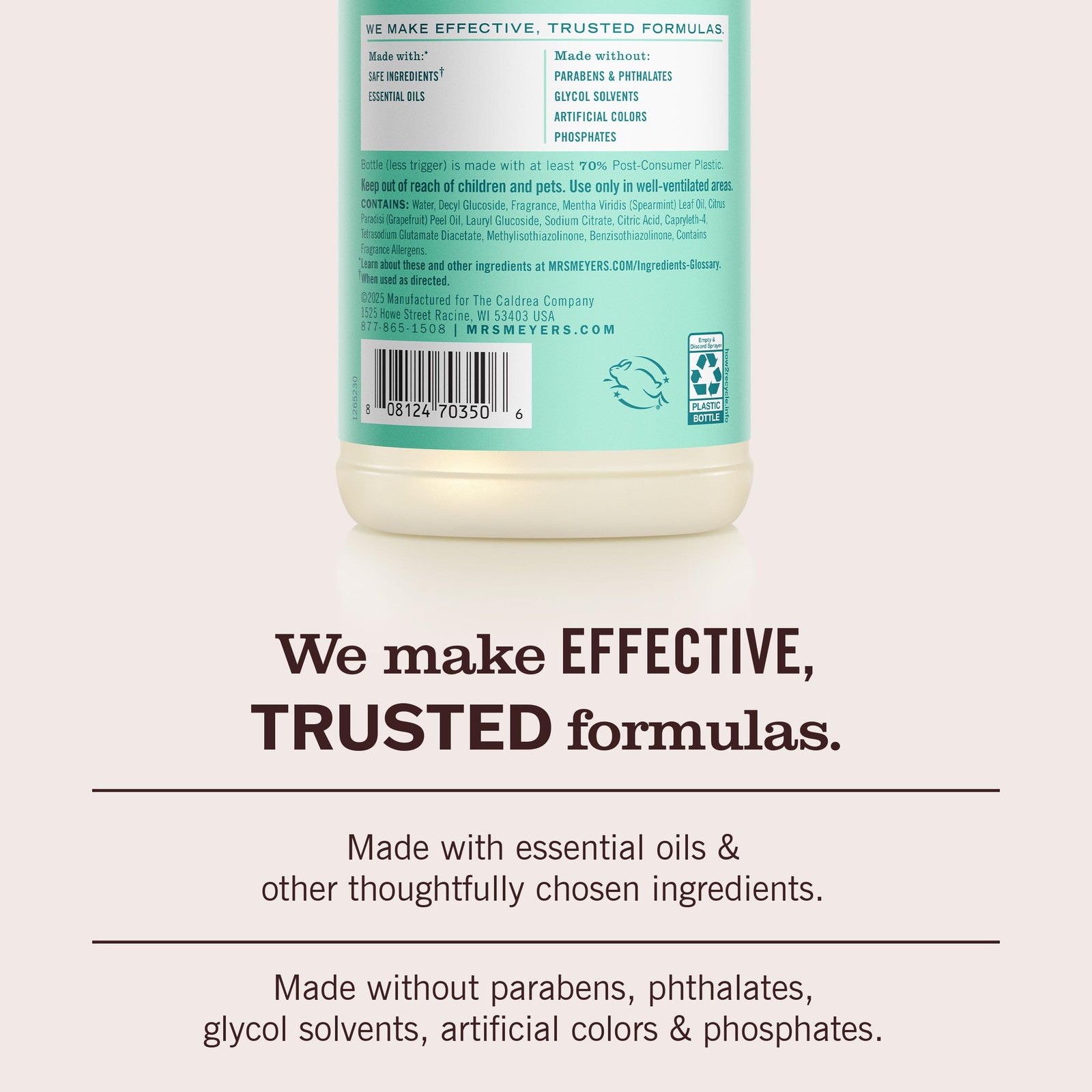 Mrs. Meyer’S Mrs. Meyers Clean Day Multi-Surface Everyday Cleaner Mint Scent 16