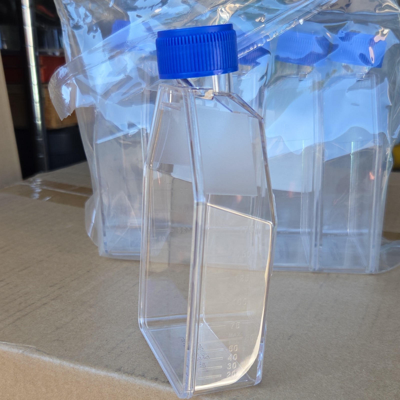 Fisherbrand Tissue Culture Flask 75 cm² Vent Cap Sterile 5/PK FB012937