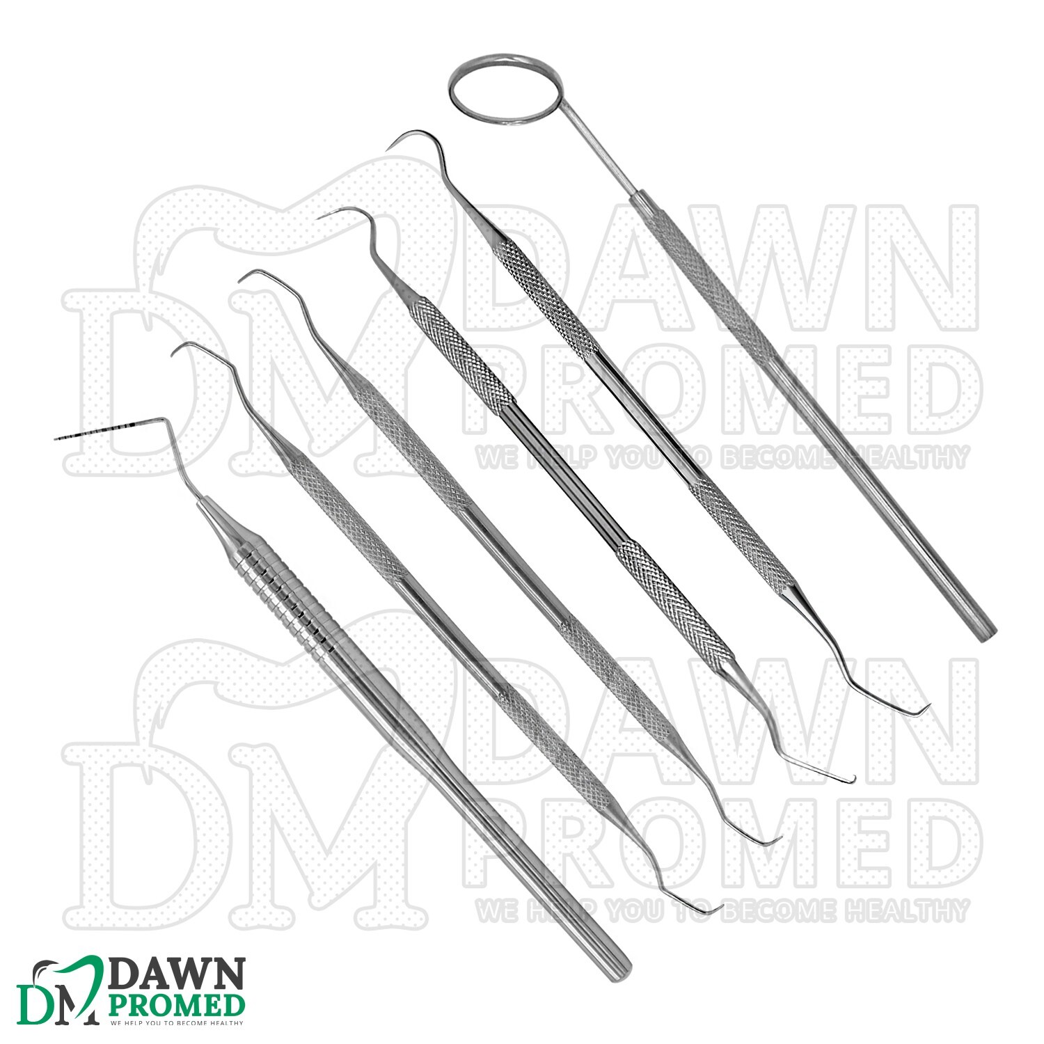 6 Pcs Basic Dental Instrument Scaler & Curette Dentist Prophy Set Veterinary Kit