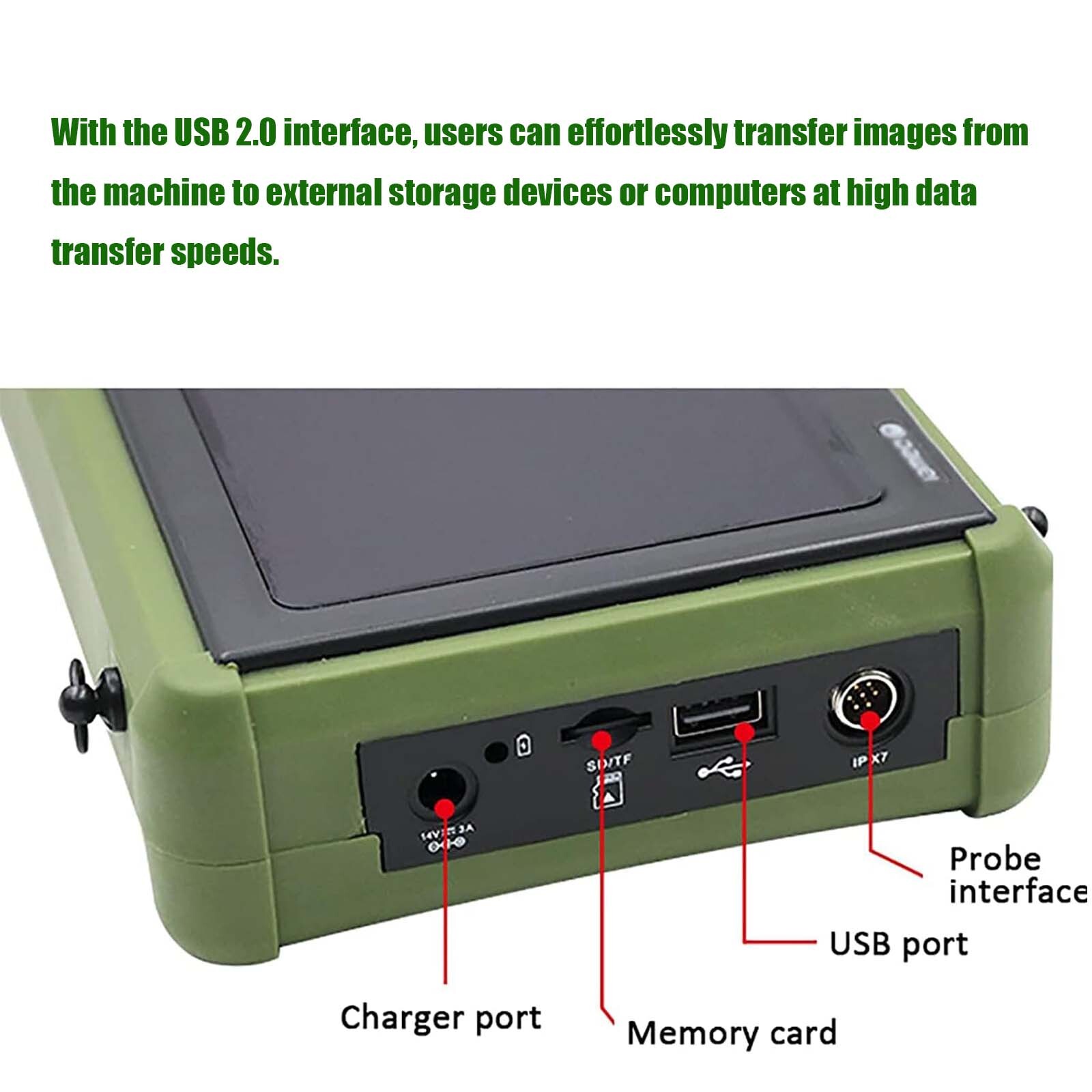Dawei Portable Pet Ultrasound Handheld Veterinary Machine For Goat Cattle Horse