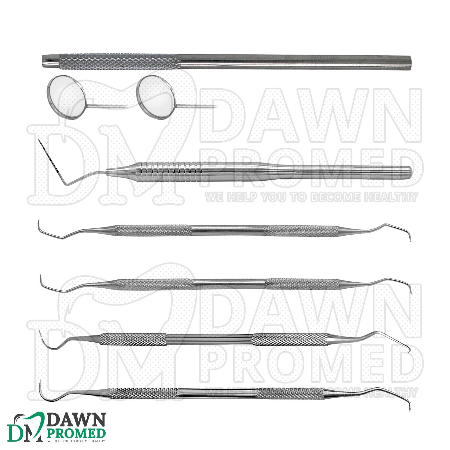 6 Pcs Basic Dental Instrument Scaler & Curette Dentist Prophy Set Veterinary Kit