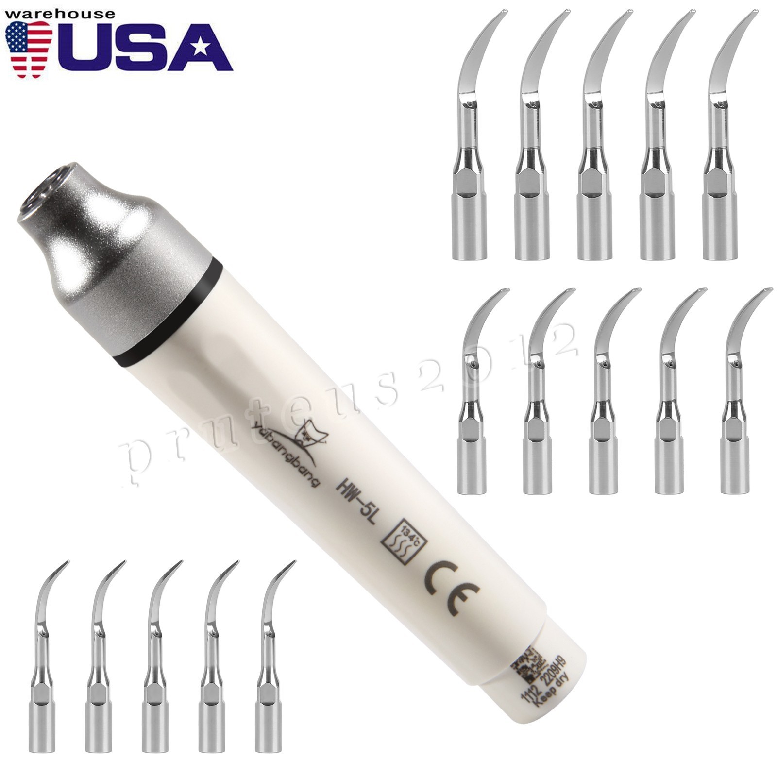 USA Dental LED Scaler Handpiece HW-5L fit EMS Scaling Tips G1 G2 P1